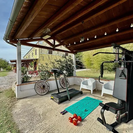 Magnificent On The Hills In