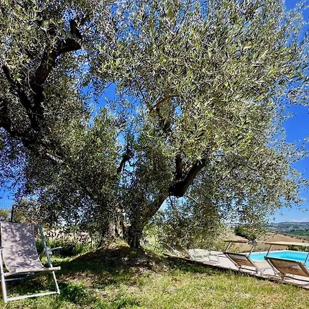 Holiday home Magnificent On The Hills In