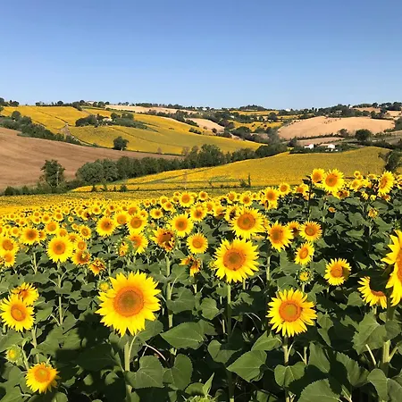 Magnificent On The Hills In * Senigallia
