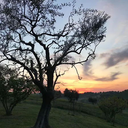 Magnificent On The Hills In Senigallia