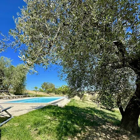 Magnificent On The Hills In Senigallia