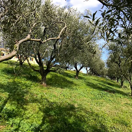 Magnificent On The Hills In